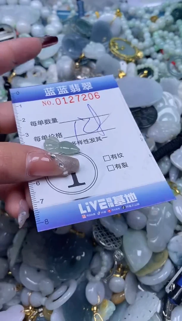 【闪购商品】翡翠颈饰未镶嵌闪购0127206