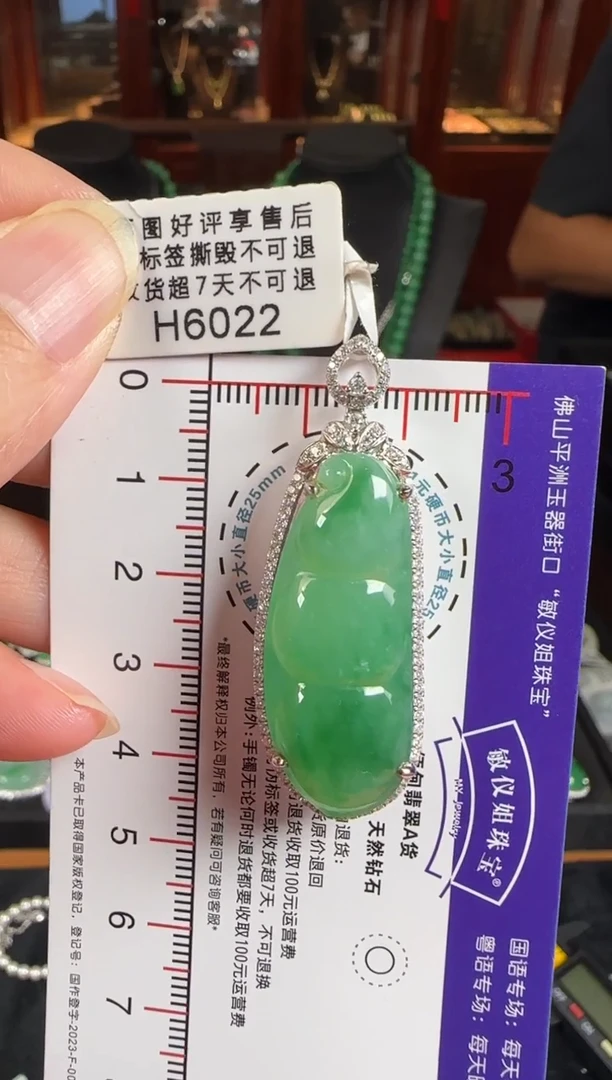 颈饰18K金镶嵌翡翠H6022冰绿富贵豆
