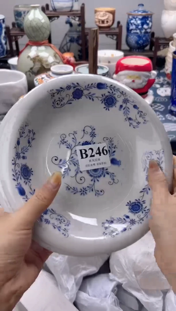 瓷片柳*柳  B246