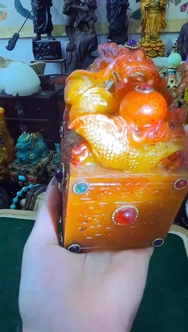 藏红龍璋老板娘主播推荐推荐