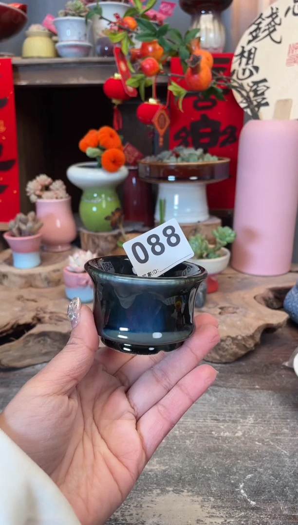 【闪购商品】摆件088知木小芳花盆