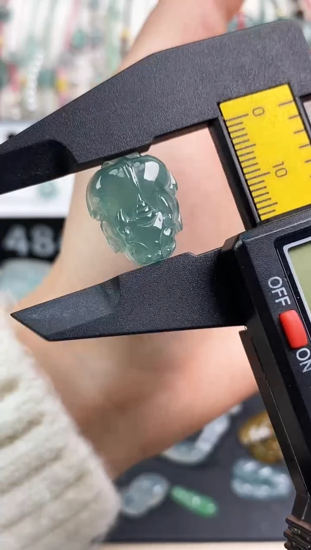 【闪购商品】翡翠颈饰未镶嵌貔貅