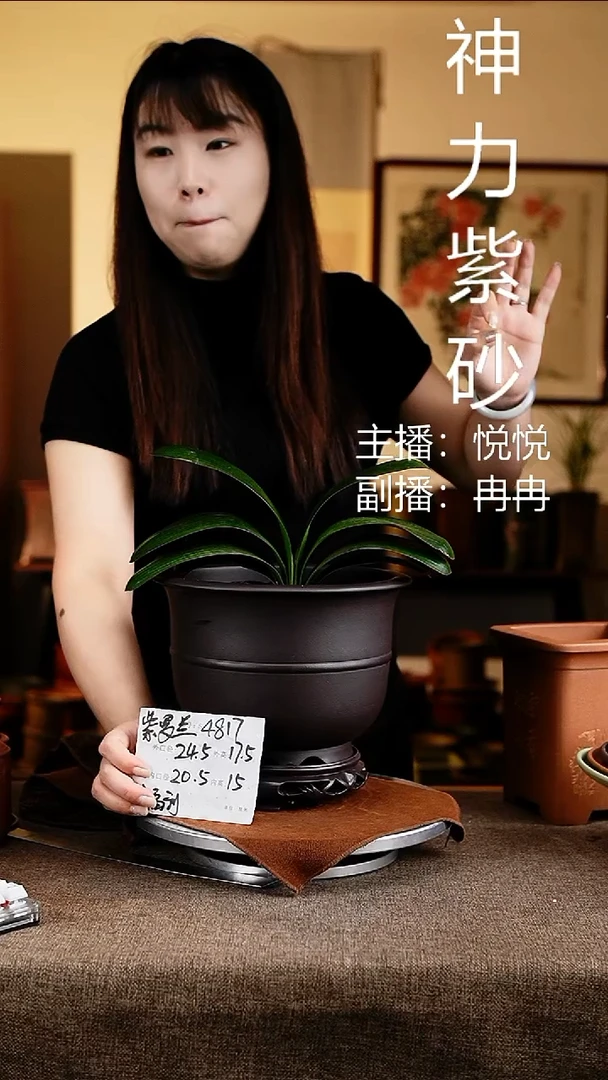 紫砂花盆花卉工艺4817+s