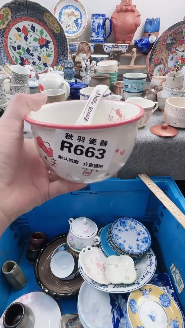 日式?****?默认微瑕秋羽R663