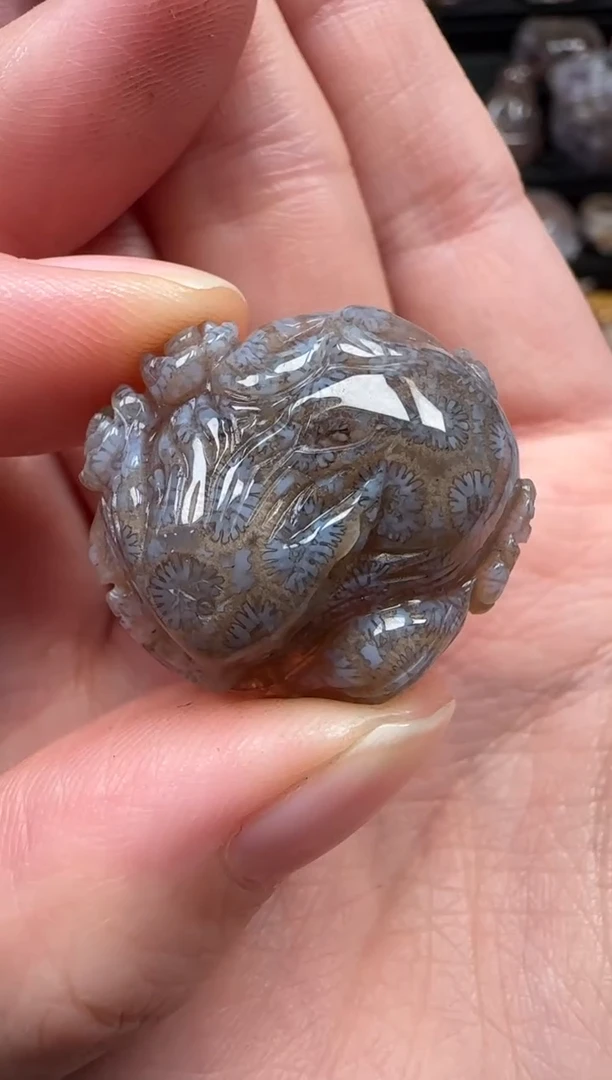 颈饰未镶嵌硅化珊瑚（珊瑚玉）867