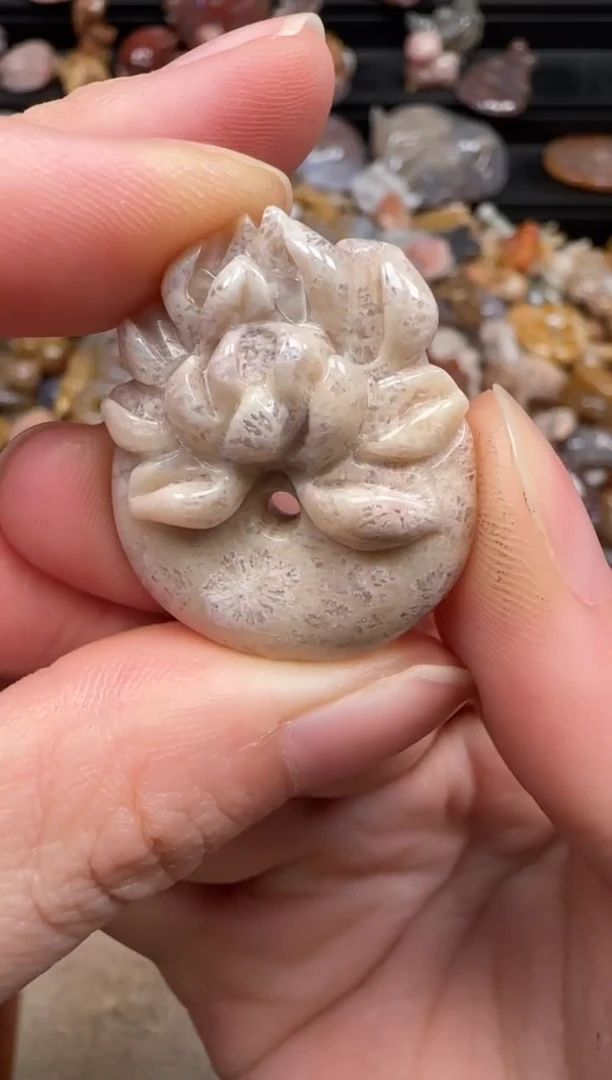 硅化珊瑚（珊瑚玉）未镶嵌颈饰661