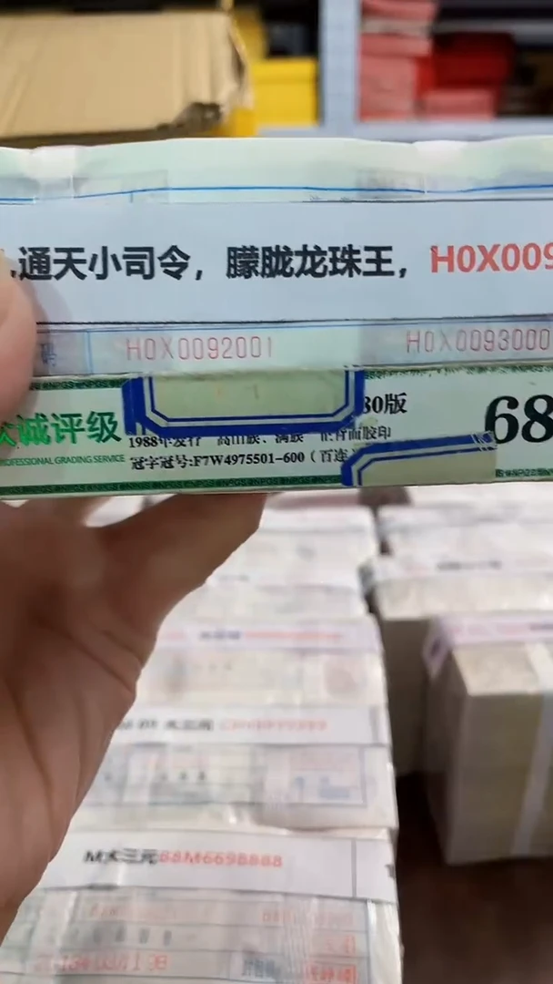M 05,通天小司令，朦胧龙珠王，H0X0092222