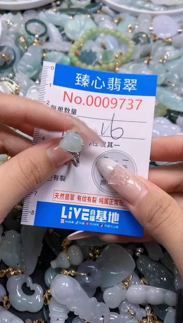 翡翠未镶嵌吊坠(不含链)9737
