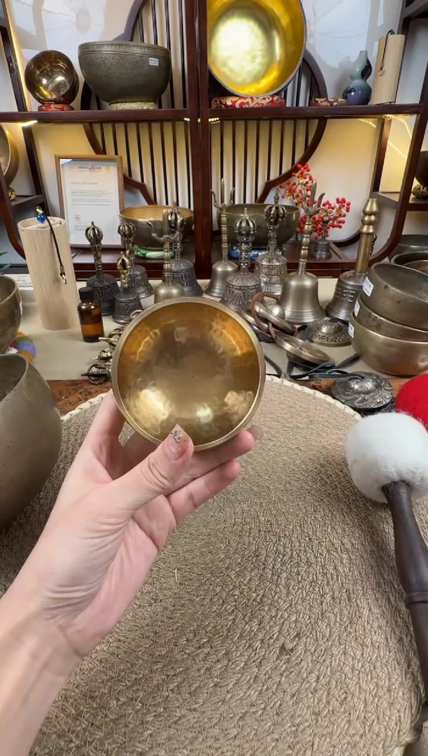 小金钵  新品福利