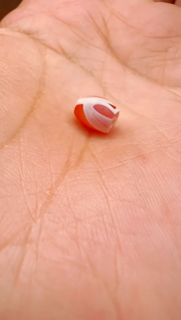 【肖钟出品】东南亚配珠