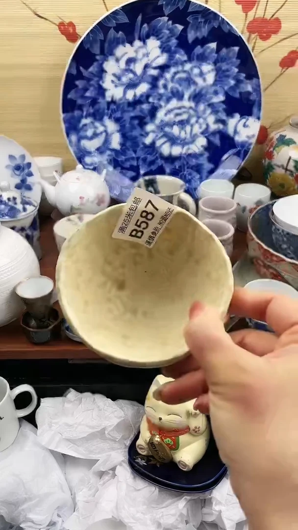 【闪购商品】587==============