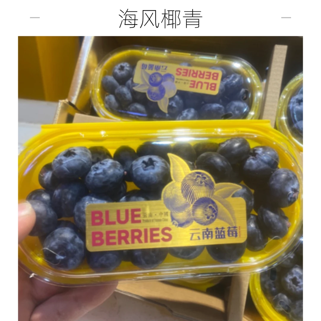 云南大颗粒蓝莓一盒200克（21mm以上）