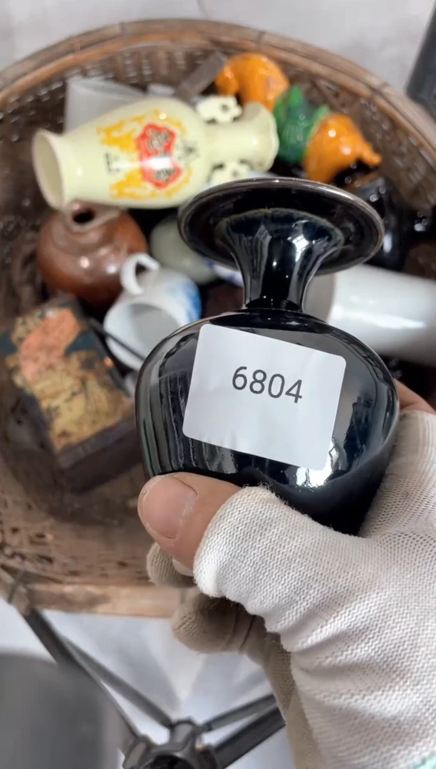 器556677882505266804