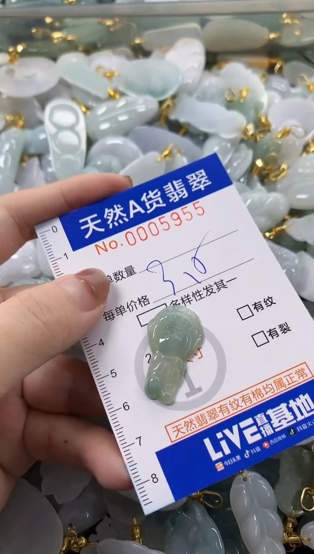 颈饰未镶嵌翡翠天然A货翡翠