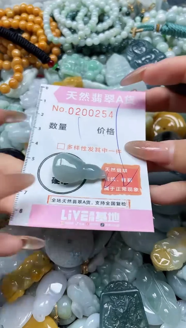 翡翠未镶嵌颈饰闪购0200254