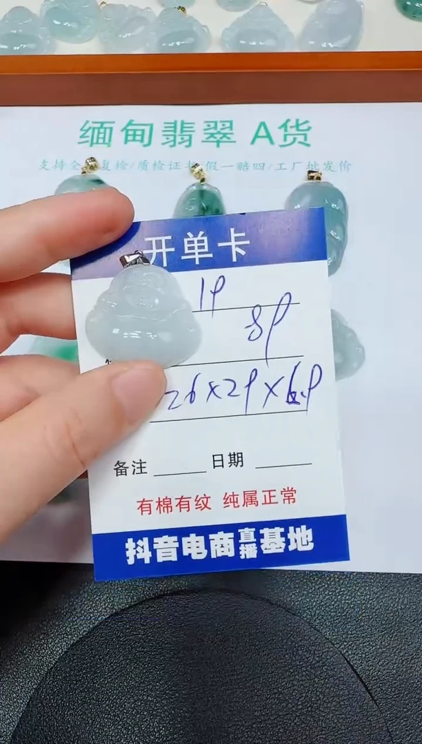 翡翠未镶嵌吊坠(赠链)19