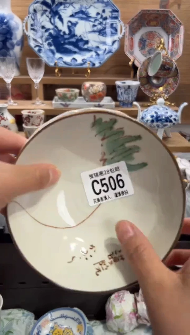 瓷片毛***岩      C506