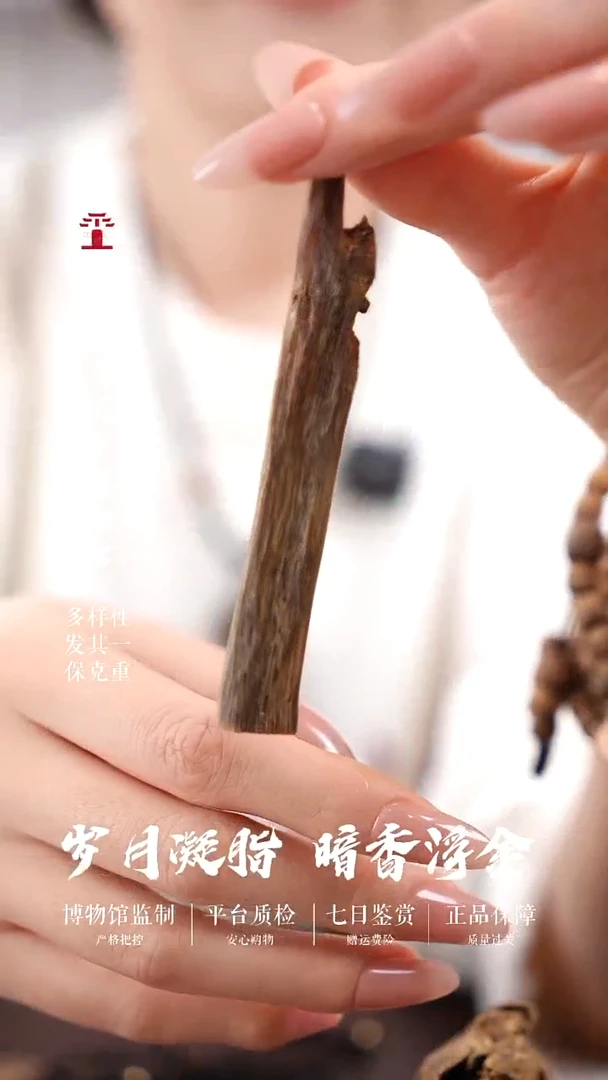 沉香原母树原料 5克