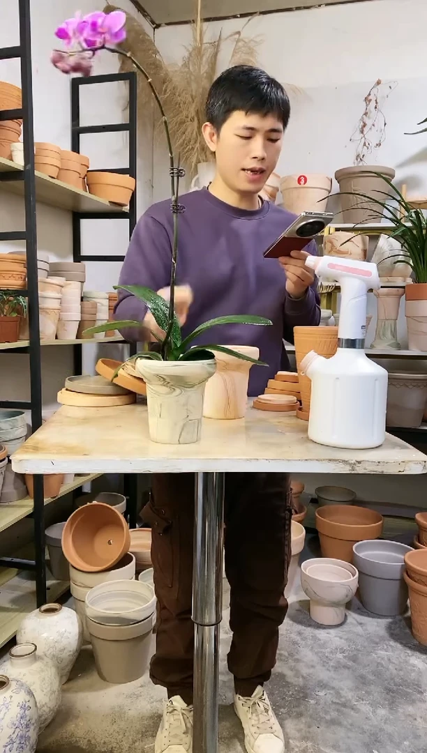 【闪购商品】陶13*13绿白陶蘑菇 1盆无托