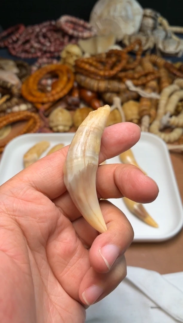 骆驼牙把件卡***.杂件614-骆驼牙把件