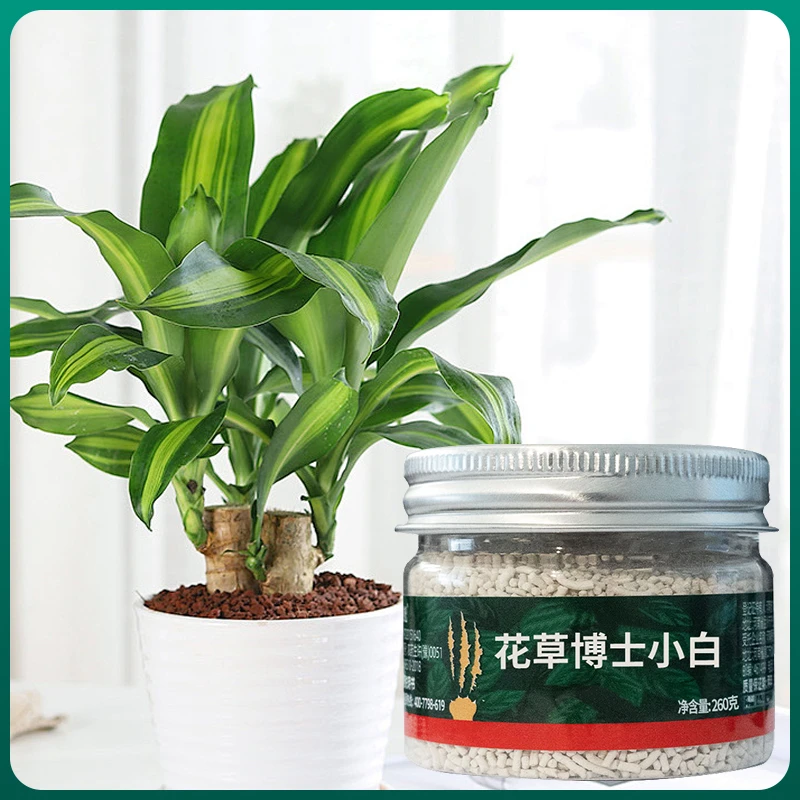 星宸花草博士升级版小白持效期长使用方便