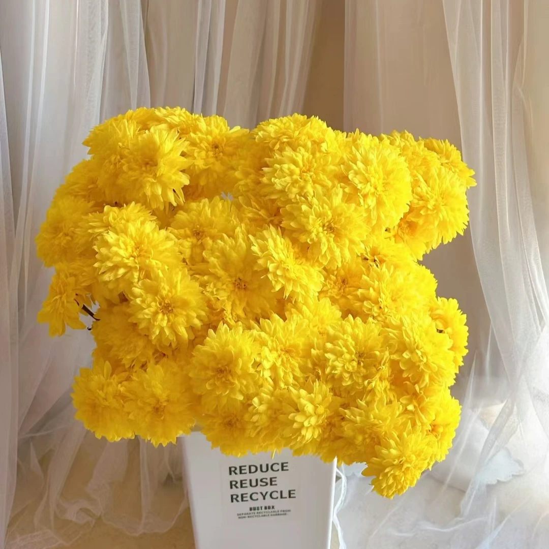 【顺丰发货】黄桃蛋糕雏菊鲜花N单一个运费自选品种