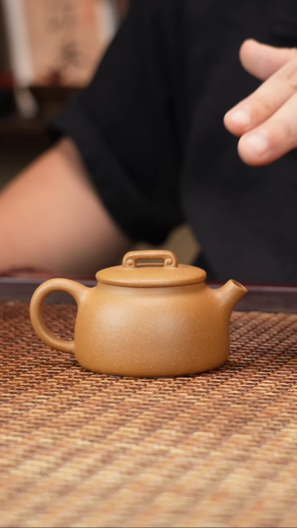 茶壶紫砂汀禾紫砂老葵黄井栏