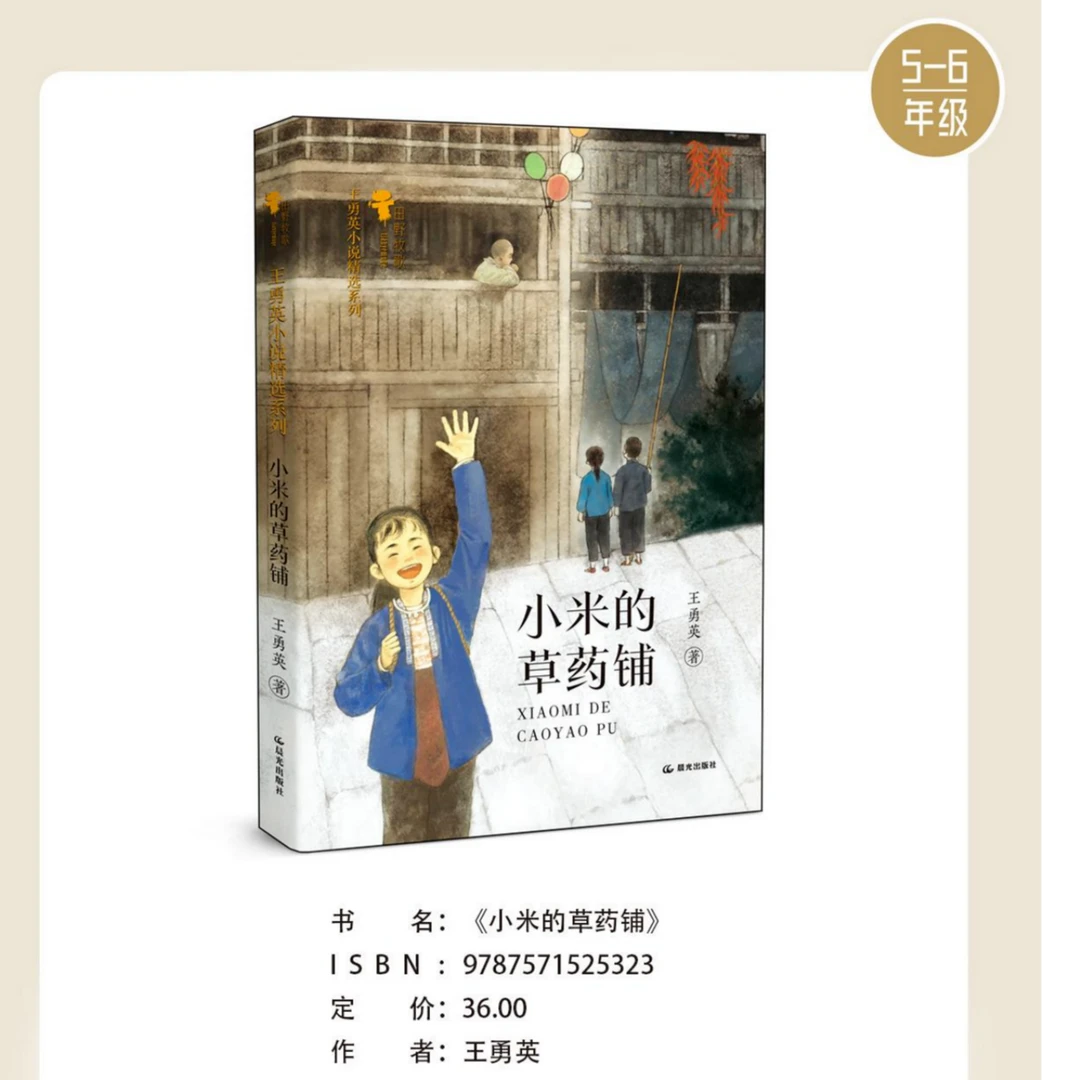 德宏新华[03]小米的草药铺