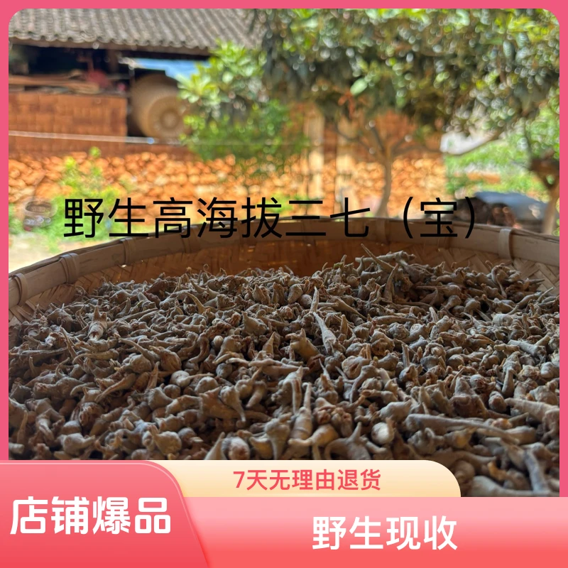 滇藏现收好物［野 生 藏三七］（绿心生长时间长）