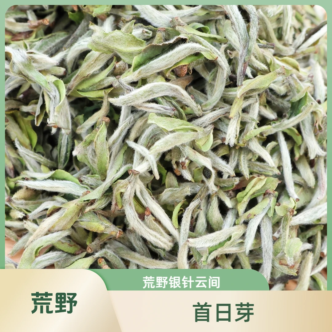拂云庭荒野银针首日芽【云间】｜福鼎纯日晒干燥白茶