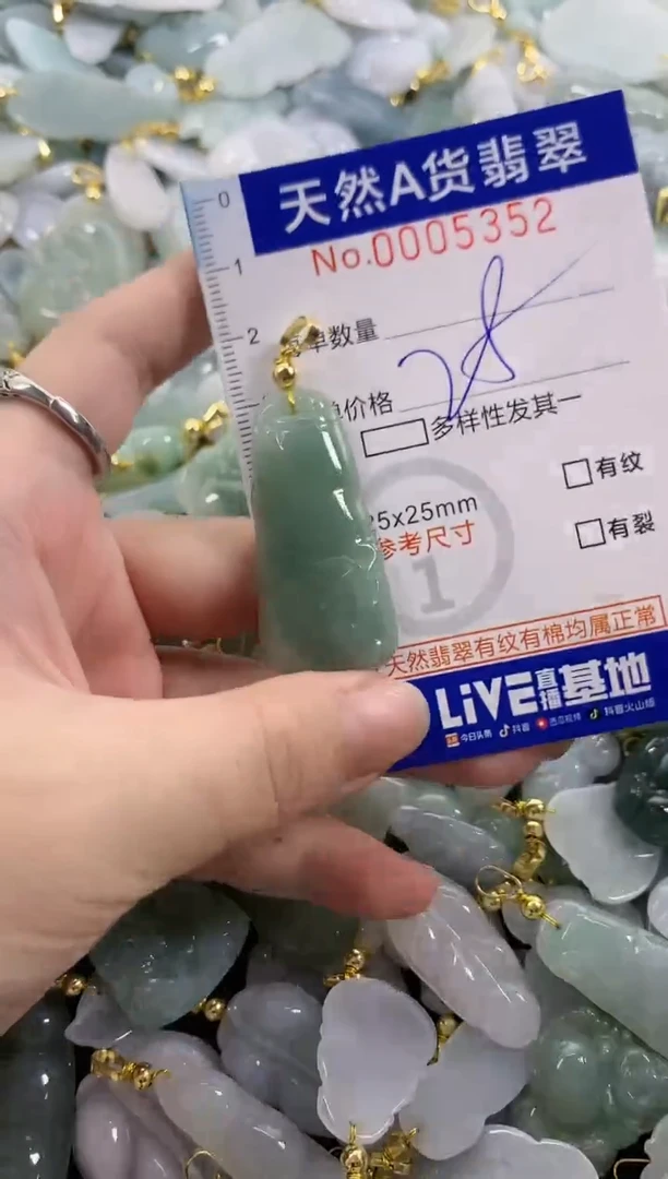 颈饰未镶嵌翡翠天然A货翡翠