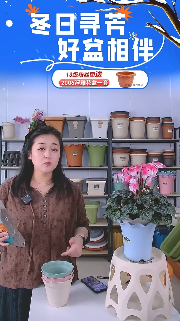 罗马盆3号盆3套带托盘+1袋1L多肉土