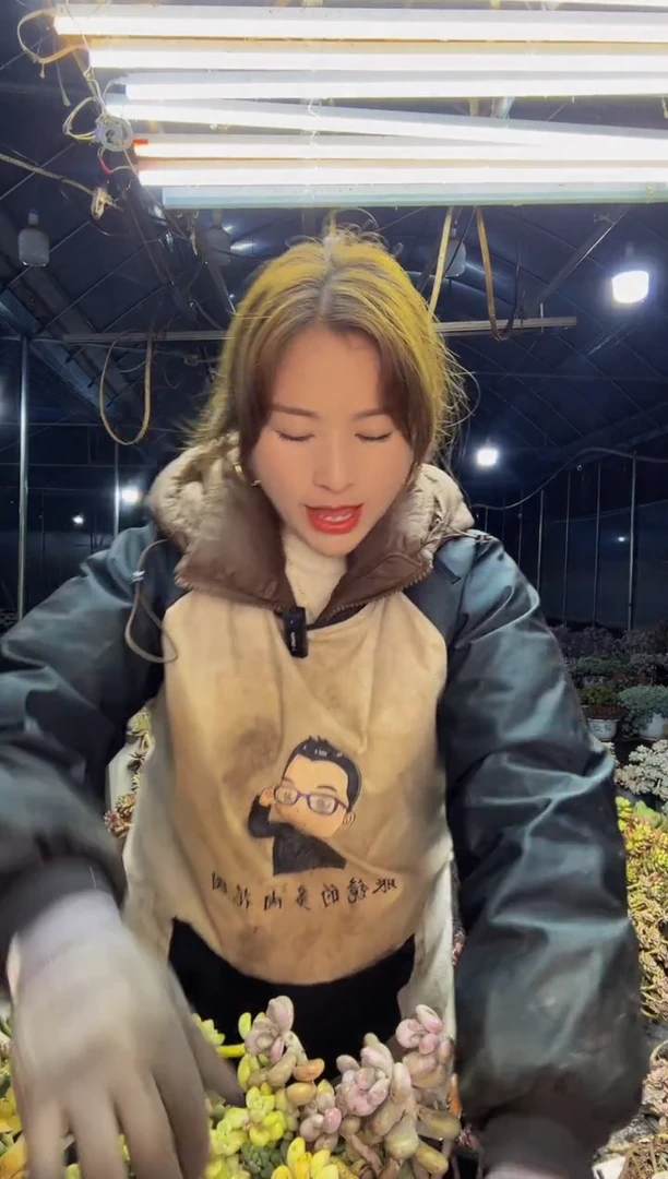 【闪购商品】2号一物一拍默认微瑕不售后