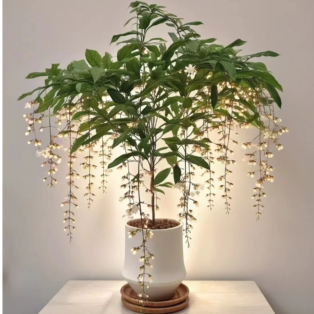 泰国垂丝茉莉盆栽绿植阳台客厅室内好养四季开花网红垂吊植物卧室