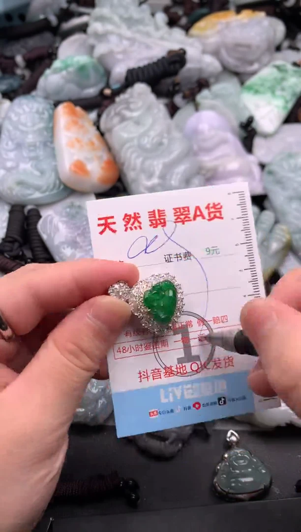 翡翠未镶嵌吊坠(不含链)1