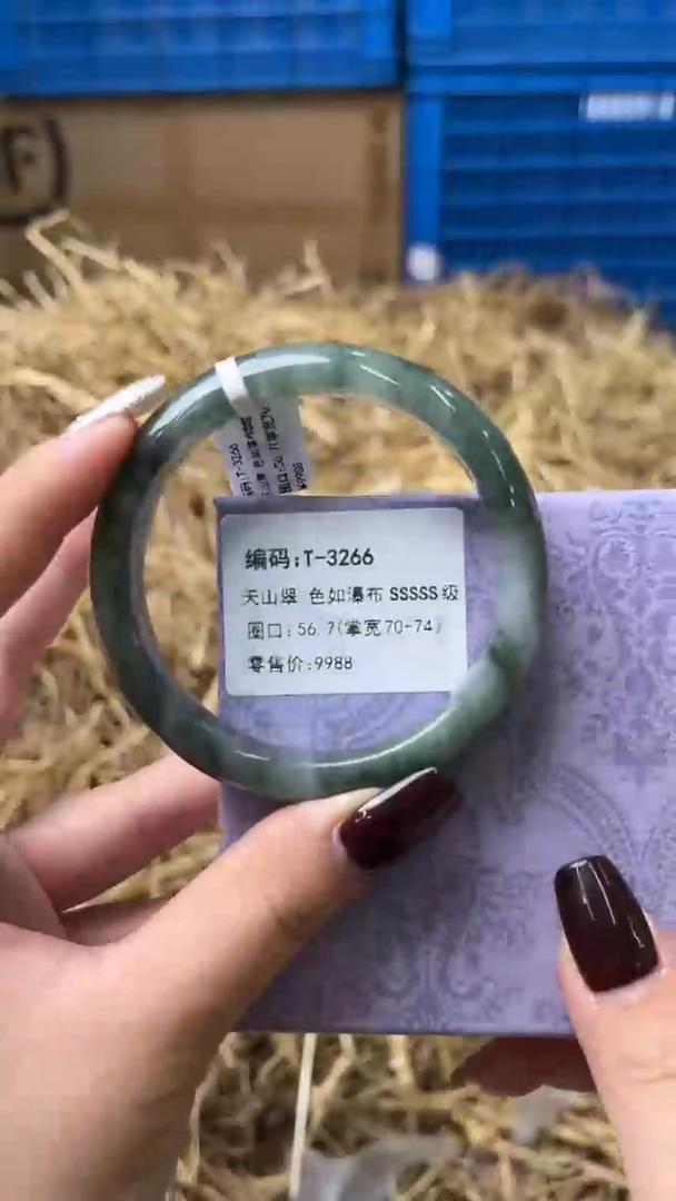 未镶嵌手镯石英质玉T-3266