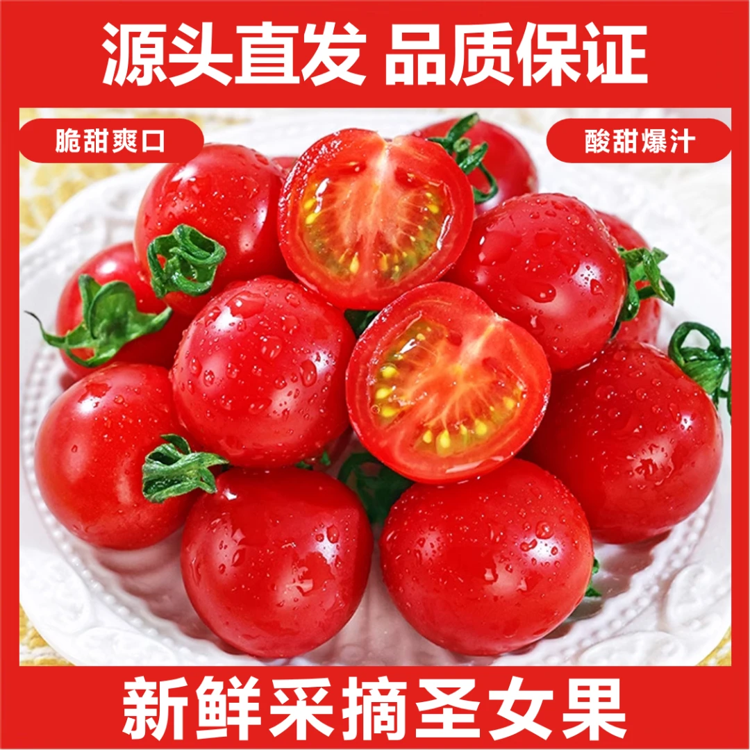 新鲜甄选圣女果千禧小番茄超甜新鲜自然熟西红柿生吃水果现摘现发