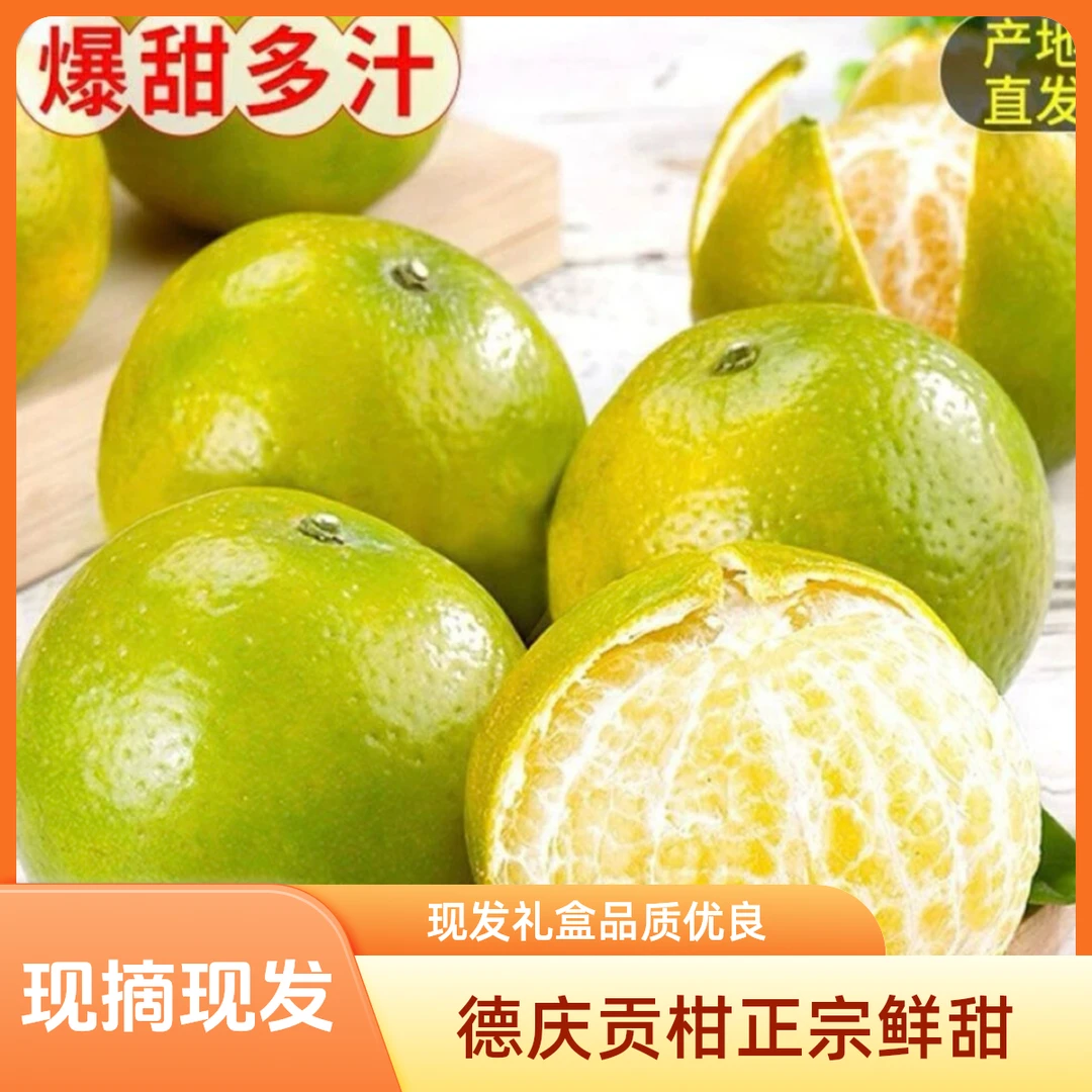 广东德庆贡柑正宗德庆皇帝柑精选中大果新鲜采摘现发贡柑礼盒装