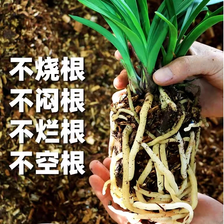 [壹品兰阁]兰花植料（花土）无菌透气 防虫疏松透气 纯杉木屑