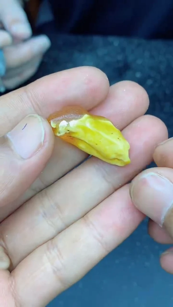 琥珀未镶嵌珠宝奇石在****蜂1