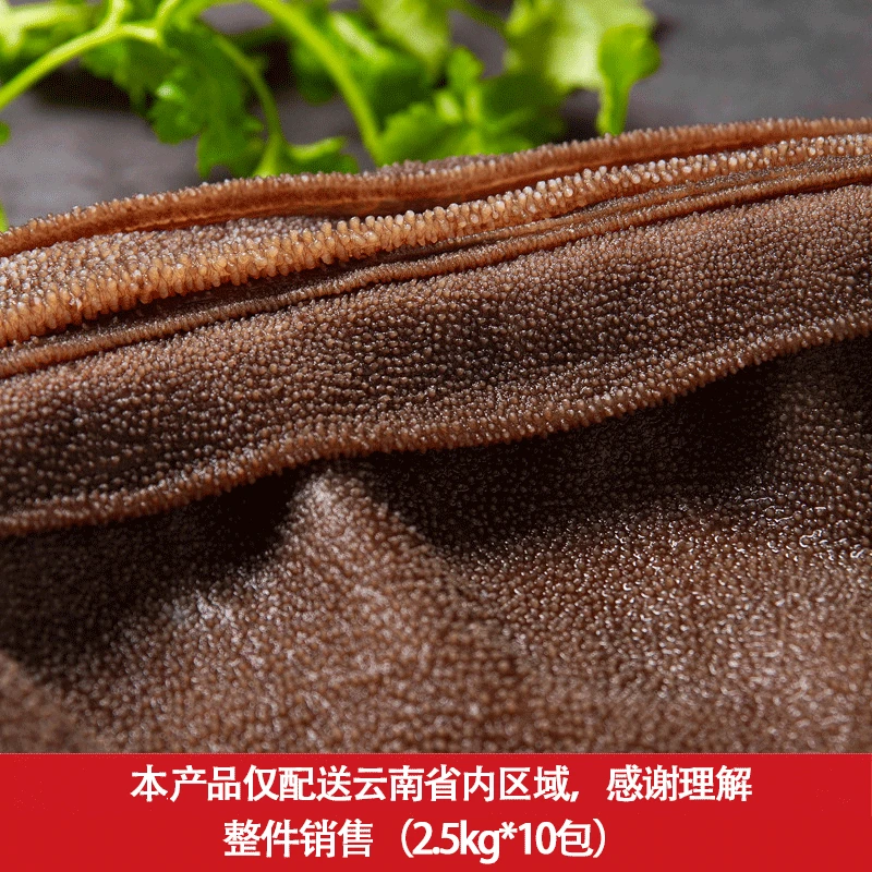 惠尚厨大叶片一件2.5kg*10包毛肚百叶火锅食材 固形物含量70%以上