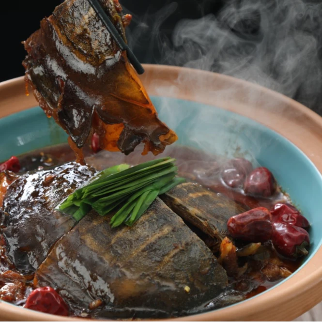 【麻辣甲鱼】一只