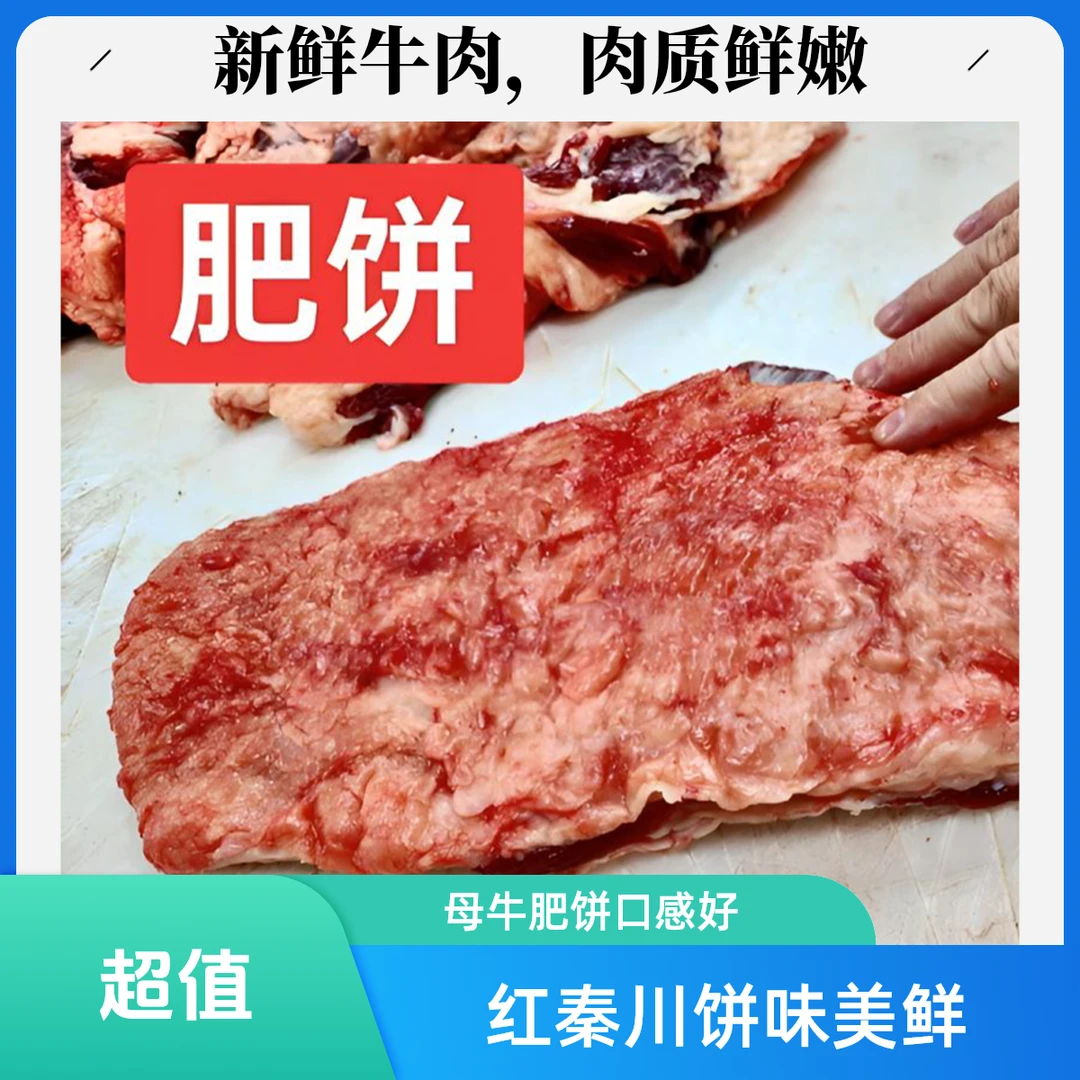 红秦川肥母牛肥饼