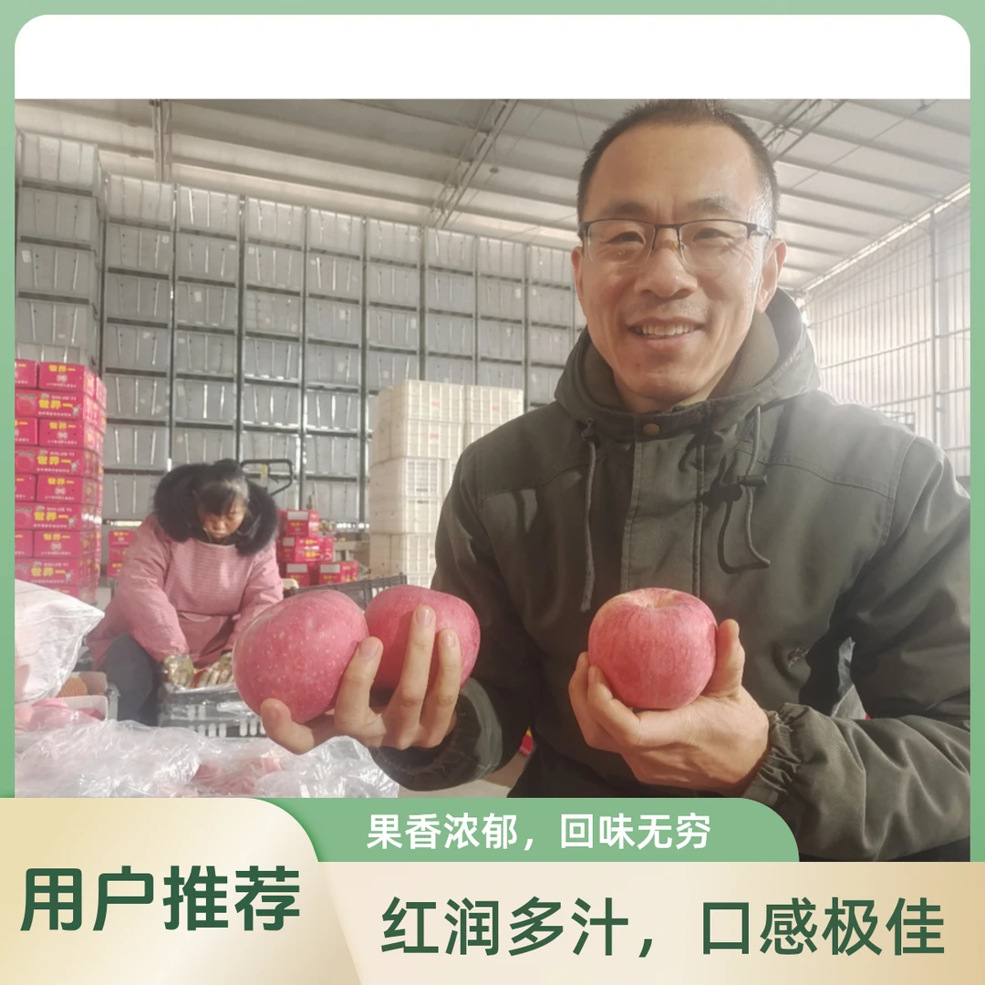 陕北延安洛川红富士苹果爽脆清甜果大香甜