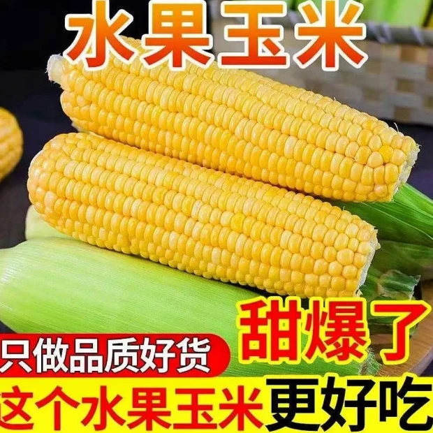 【新品特惠】水果黄玉米 脆甜新鲜 现拍现发 包邮 明天到家5斤水果玉米云南省