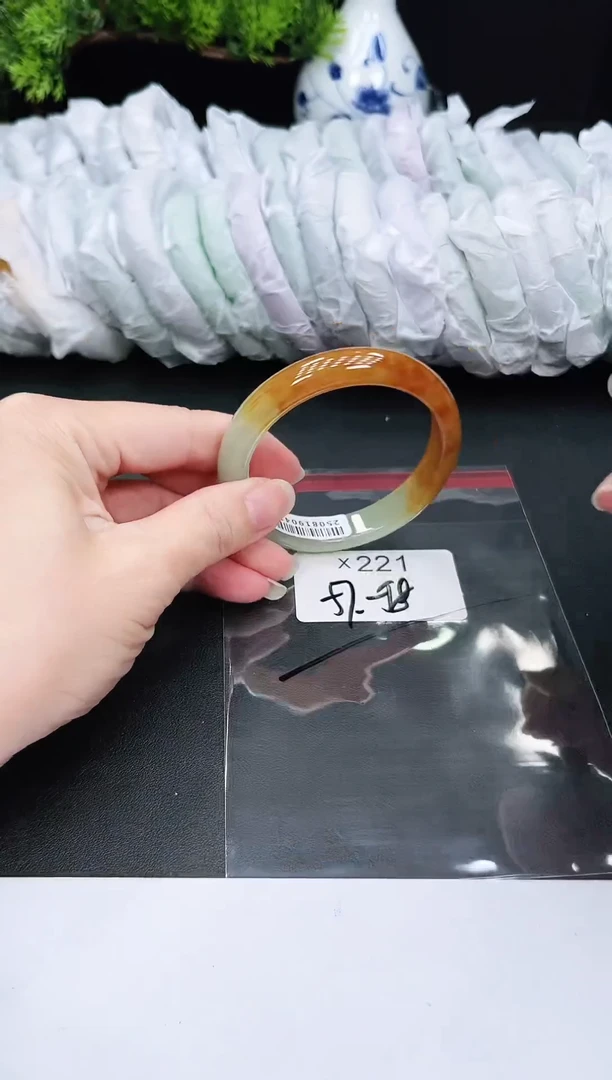 未镶嵌手镯翡翠221
