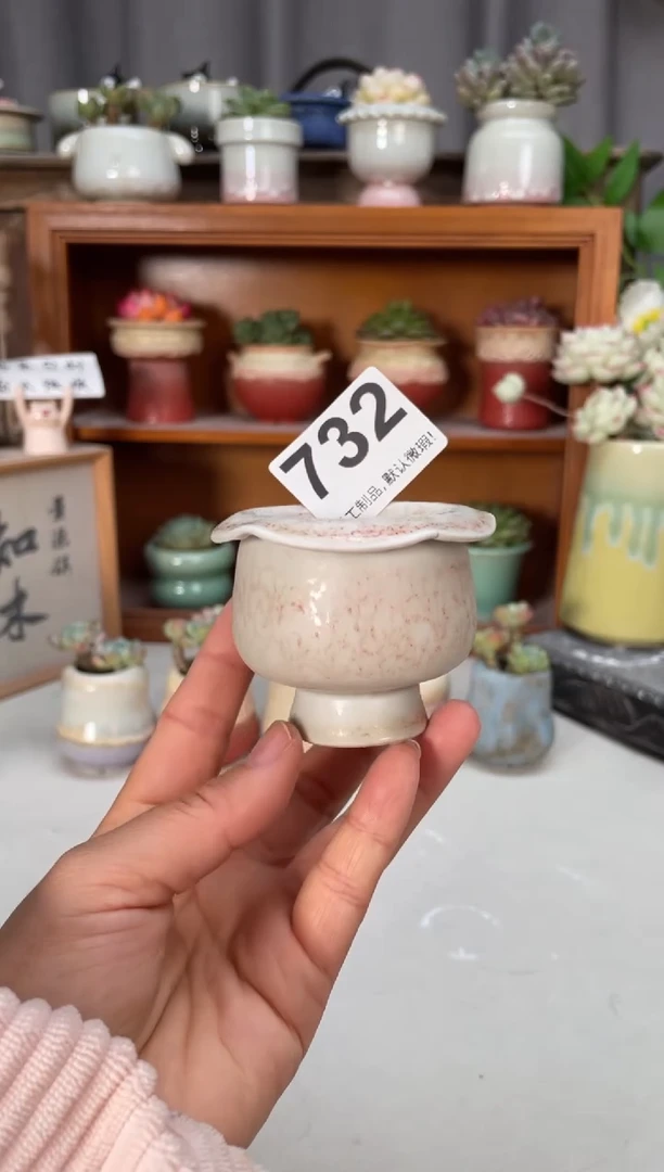 瓷片732小芳直播编号