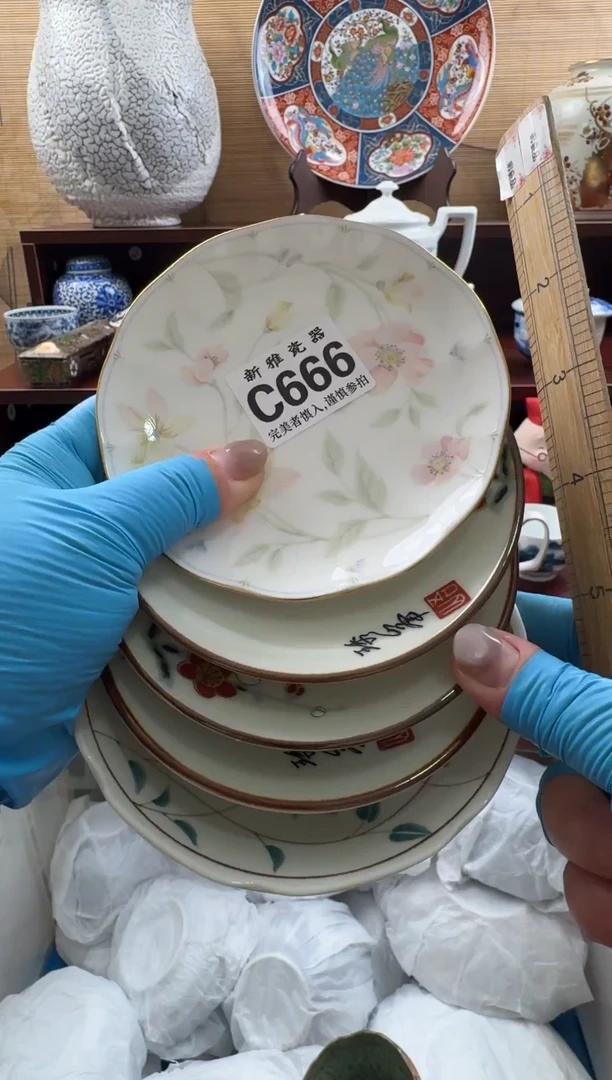 瓷片          C666