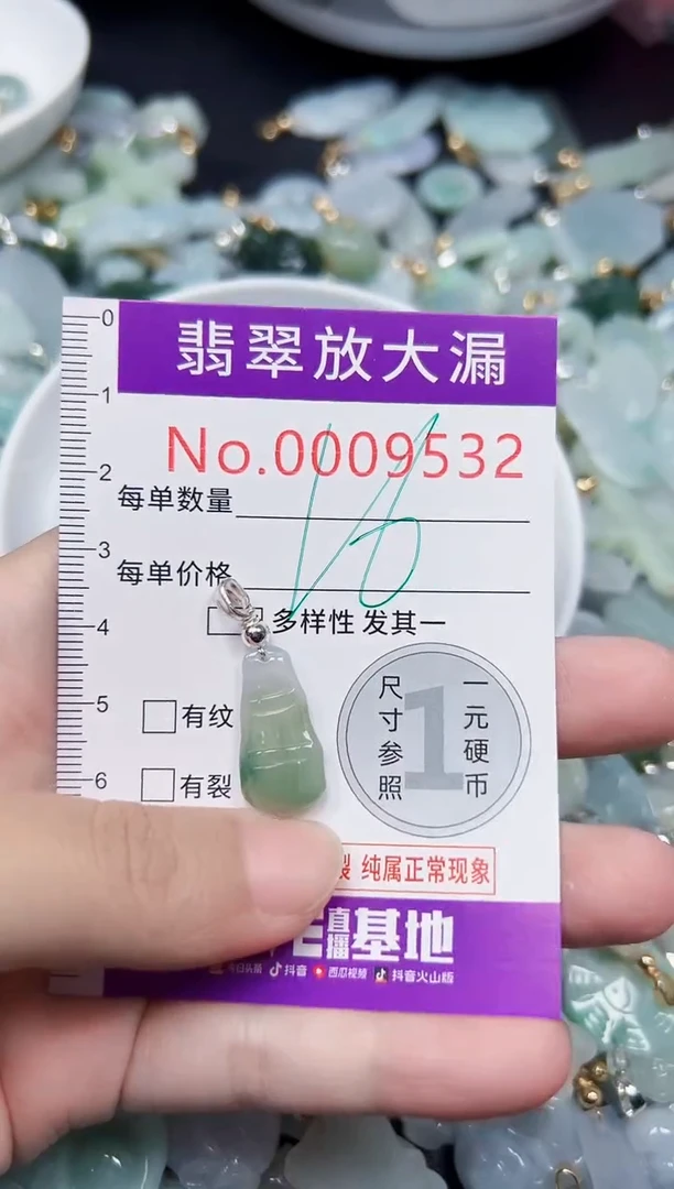 颈饰未镶嵌翡翠9532