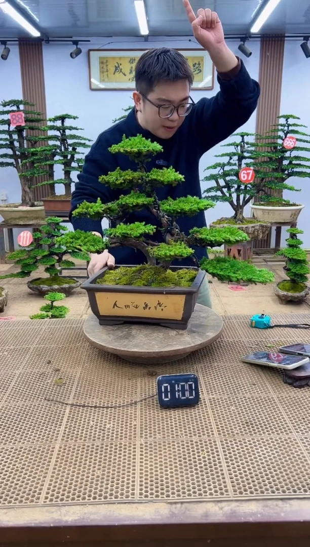 无花朵0000000000000